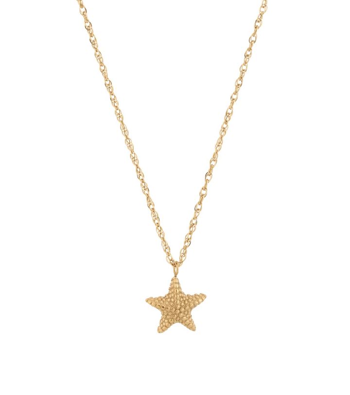 Beachcomber Starfish Necklace Gold